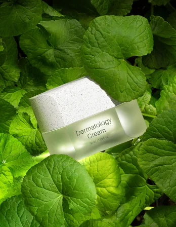 Incellderm Dermatology Cream entre hojas de centella asiática, producto oficial RIMAN